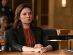 Civil Suit - Bull