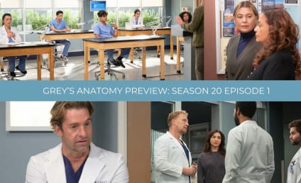 Grey s Anatomy TV Fanatic