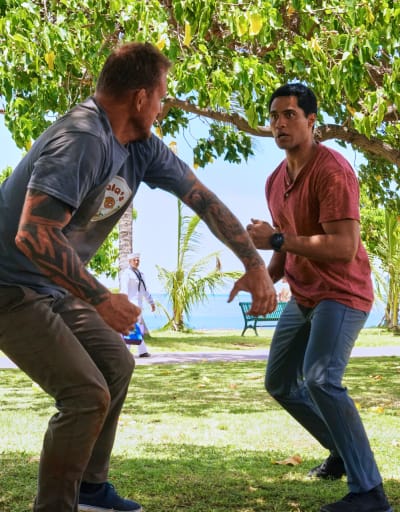 Fighting Bad Guys - NCIS: Hawai'i Season 2 Episode 1