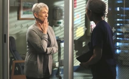 Grey's Anatomy Exclusive: Jennifer Bassey Dishes on "Moving" Three Episode Arc