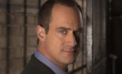 Law & Order Organized Crime: Elliot Stabler to Suffer 'Personal Loss' in SVU Spinoff