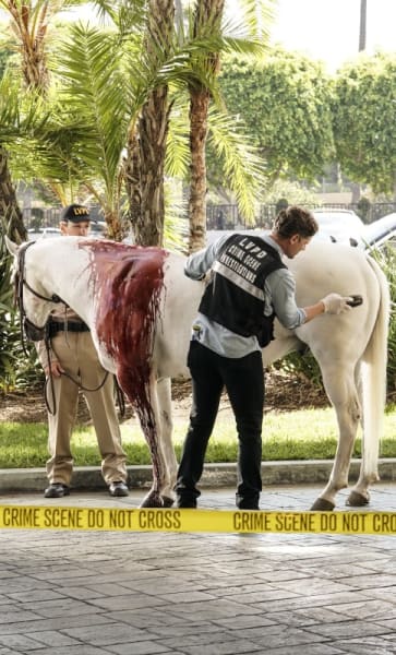 Covered in Blood -- Tall - CSI: Vegas Season 1 Episode 7