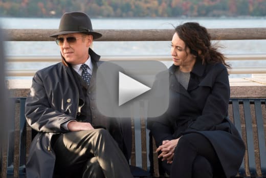 Blacklist putlocker 2025