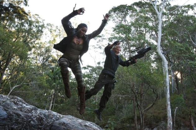 Taylor and Mira in Action