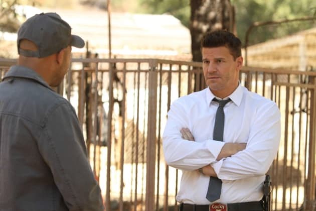 Booth is On the Case