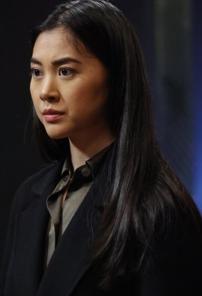 Pulled From the Field - The Blacklist Season 9 Episode 20