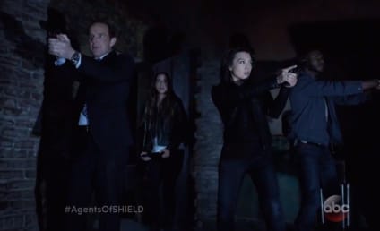 Marvel's Agents of SHIELD Season 2 Trailer: From the Shadows...