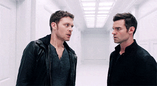The Mikaelson Brothers - The Originals