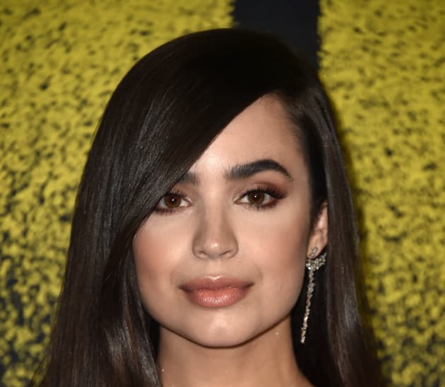 The Perfectionists: Sofia Carson Joins Pretty Little Liars Spinoff ...