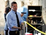 Danny Reagan on the Job