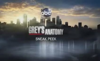 Grey's Anatomy Sneak Peek: Lexie Brings the Heat