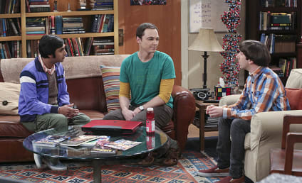 The Big Bang Theory Season 9 Episode 8 Review: The Mystery Date Observation
