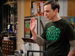 Sheldon the Caretaker