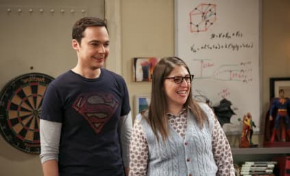 Watch The Big Bang Theory Online: Season 12 Episode 13