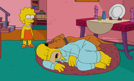 Homer Simpson Photos Page 2 Tv Fanatic