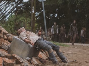 The walking dead watch online season 9 cheap