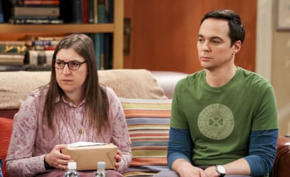 Watch The Big Bang Theory Online: Season 12 Episode 21