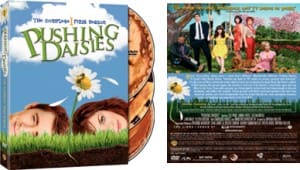 pd_s1_dvd Pushing Daisies Season One DVD Release Date, News
