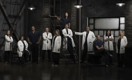 Grey's Anatomy Spoilers: Who Will Die in 2013?!