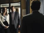Confused Investigators