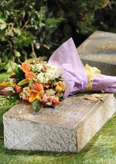 Ciara's Grave/Tall - Days of Our Lives