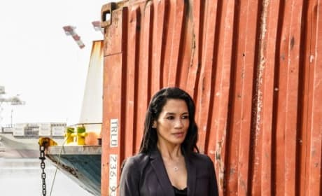 Hawaii Five-0 Photos - TV Fanatic