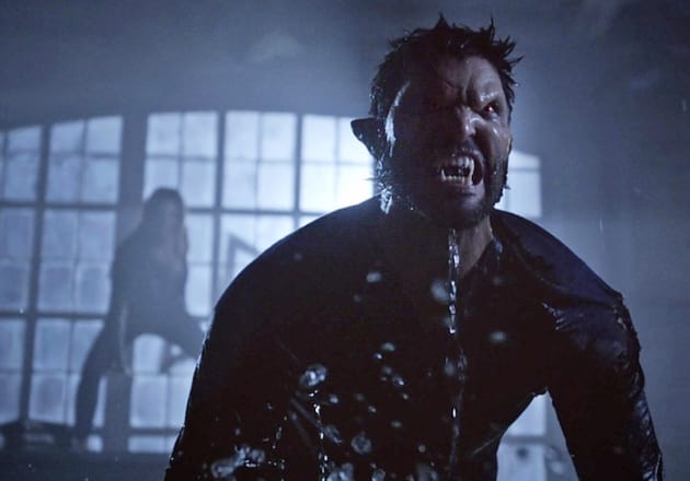 Wet Derek