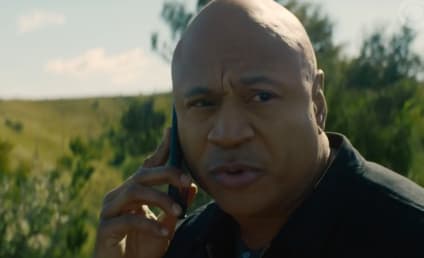 LL Cool J Joins NCIS: Hawai'i Cast, Reprising NCIS: Los Angeles Role