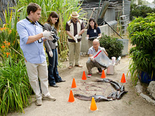 Dexter Review: A Fatal One Night Stand - TV Fanatic