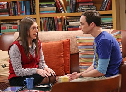 The Big Bang Theory Season 7 Episode 15 - TV Fanatic
