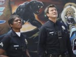 The Competition - The Rookie