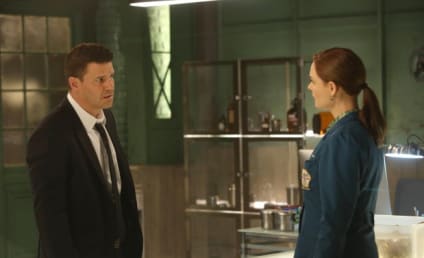 Bones Review: The Beginning In The End