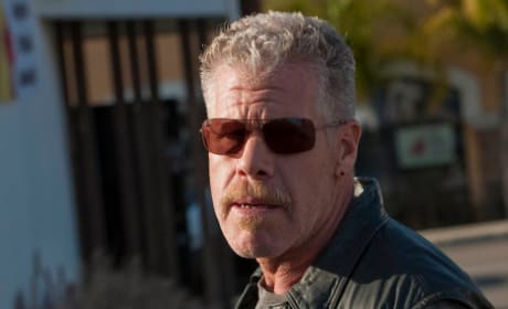 Sons of anarchy ns 2025
