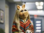 Returning From Hiatus - The Muppets