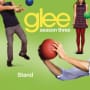 Glee cast stand