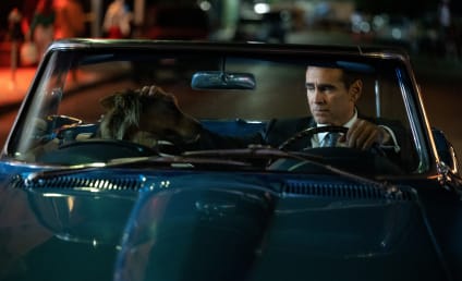 Essential Viewing: 13 Colin Farrell Movies and TV Shows You Must See 