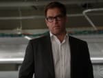 The Pledge Challenge - Bull