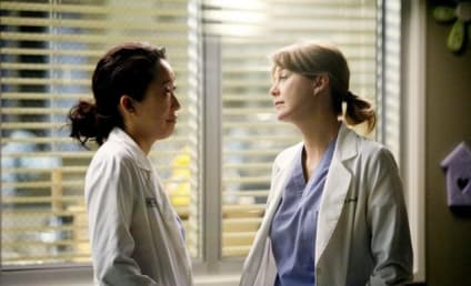 Ellen Pompeo Dishes on Meredith-Cristina Episode
