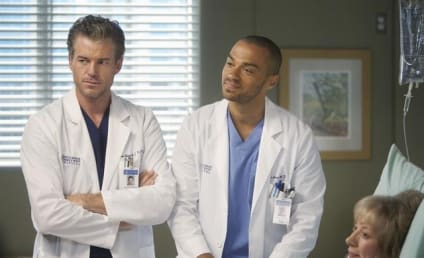 Grey's Anatomy Review: Two Shepherds, One Battle