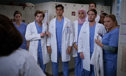 Grey's Anatomy Season 15: We Need to Talk About Some Unrealistic Diversity