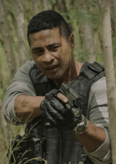 Tracking Assistance - Hawaii Five-0 Season 10 Episode 21
