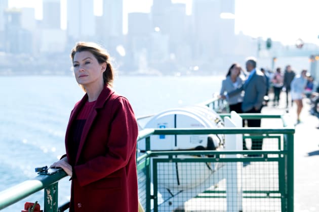 Ferry Boat Flashbacks - Grey's Anatomy Season 14 Episode 7