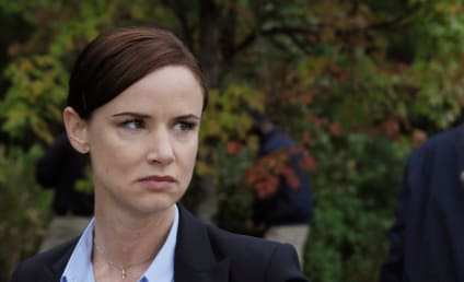 Secrets and Lies Season 1 Episode 7 Review: The Cop