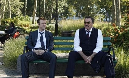 Blue Bloods Review: "Friendly Fire"