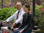 Meditating - New Amsterdam