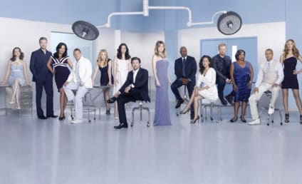 Grey's Anatomy Cast: Season Seven Promotional Photos