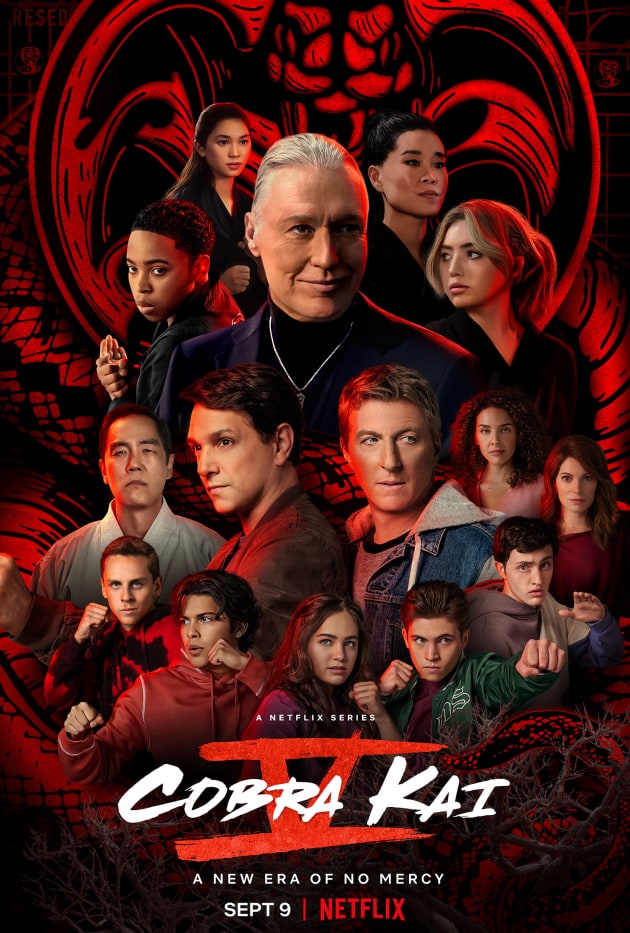 Cobra Kai Season 5 Poster TV Fanatic