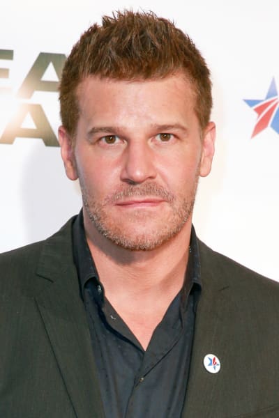 David Boreanaz Promotes SEAL Team