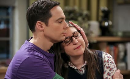 Watch The Big Bang Theory Online: Season 12 Episode 19