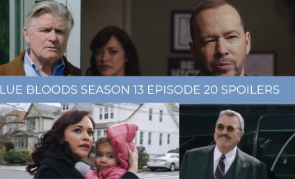 Blue Bloods Season 13 Episode 20 Spoilers: Danny Protects Baez, But Where Will It Lead?